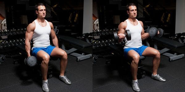 Supinated-wrist-curl-with-dumbbell-sitting-on-a-bench