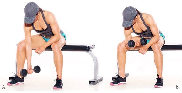 mechanics-of-dumbbell-concentration-curl