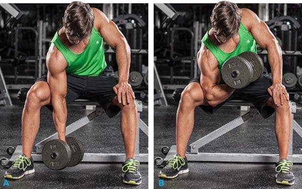 Supinated-wrist-curl-with-dumbbell-sitting-with-an-emphasis-on-the-thigh