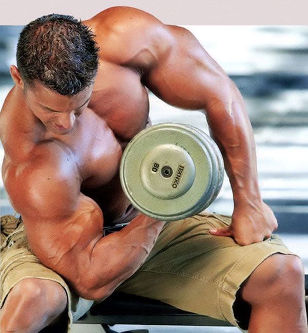 dumbbell-concentration-curl